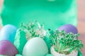 Decorative handmade easter egg present box with eggs and cress Royalty Free Stock Photo