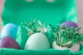 Decorative handmade easter egg present box with eggs and cress Royalty Free Stock Photo