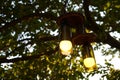 Decorative handmade lantern hanging on tree branch
