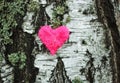 Decorative heart on birch bark. Royalty Free Stock Photo