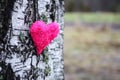 Decorative heart on birch bark. Royalty Free Stock Photo