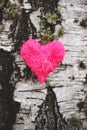 Decorative heart on tree bark. Royalty Free Stock Photo