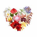 Decorative heart witht tropical flowers. Exotic colorful plants, leaves and buds. Valentines day card. Royalty Free Stock Photo