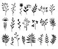 Decorative herbals, branches and flowers set