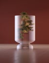 Bonsai tree on a pedestal under a glass dome