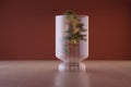 Bonsai tree on a pedestal under a glass dome