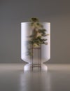 Bonsai tree on a pedestal under a glass dome