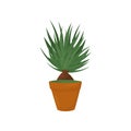 Decorative home plant with green leaves. Nature element for home interior. Flat vector icon of houseplant in brown pot Royalty Free Stock Photo