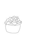 Decorative indoor plant suculent outline coloring page