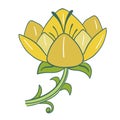 Decorative image of an yellow lily flower.