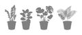 Decorative indoor plants in a pot silhouette.