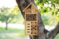 Decorative Insect house with compartments and natural components in a summer garden. Wooden insect house decorative bug hotel, lad Royalty Free Stock Photo