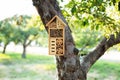 Decorative Insect house with compartments and natural components in a summer garden. Wooden insect house decorative bug hotel, lad Royalty Free Stock Photo