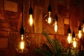 Decorative interior LED light bulbs with warm light, hanged on cables designed like natural ropes.