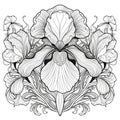 Decorative iris. Black and white vector illustration for coloring book. Royalty Free Stock Photo