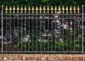 Decorative iron fence Royalty Free Stock Photo