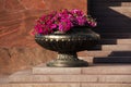 Decorative iron garden urn with pink flowers Royalty Free Stock Photo