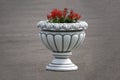 Decorative iron garden urn with pink flowers Royalty Free Stock Photo