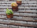 Potted flowers on granite steps. city decor Royalty Free Stock Photo