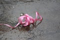 A decorative item is lying on the ground while it rained heavy. Lovely scene all together. Swirled around and left stranded