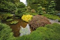 Decorative Japanese garden.