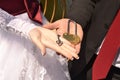 Decorative key and padlock on the palms of the newlyweds
