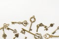 Decorative keys of different sizes, stylized antique