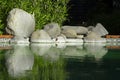 Decorative koi pond in a garden Royalty Free Stock Photo