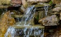 Decorative koi pond in a garden Royalty Free Stock Photo