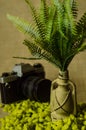 Decorative lamp with ferns and green stone on a linen background with camera. Royalty Free Stock Photo
