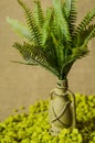 Decorative lamp with ferns and green stone top view. Royalty Free Stock Photo