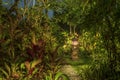 Decorative lamp on the stone pillar next to the path in the tropical garden at night . Island Bali, Indonesia . Nature concept Royalty Free Stock Photo