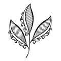 Decorative Leaf with Ornament