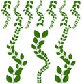 Decorative Leaf set. vector illustrator on white background