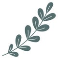 Decorative leaves branch. Floral print simple element