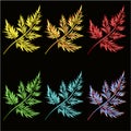 Decorative leaves gold, red, green, blue, neon watercolor set first on black background  vintage vector illustration editable hand Royalty Free Stock Photo