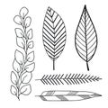 Decorative leaves pack. Nature print decorations. Leaves design elements. Decorative wall stickers.