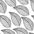 Decorative leaves seamless pattern. Vector stock illustration eps10. Outline. Hand drawing.