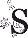 Decorative letter S