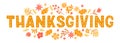 Decorative lettering for Thanksgiving Day with autumn design elements. Vector illustrations for banners, cards, posters