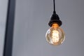 Decorative light bulb with vintage concept