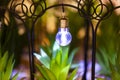 The decorative light in the garden. Lost in green grass new mini powerful flashlight. Small lamp Royalty Free Stock Photo