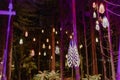 Glowing Lanterns Hanging Among Tall Forest Trees Royalty Free Stock Photo