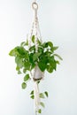 Decorative macrame plant holder