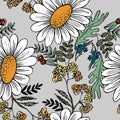 Decorative meadow flowers. Vector illustration.