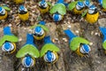 Decorative Metal Birds for Outdoor Garden on the Table in Store