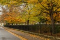 Decorative metal fence feature with color changing tree foliage in fall. Royalty Free Stock Photo