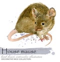 Decorative mice watercolor illustration. home mouse