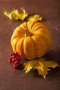Decorative mini pumpkins and autumn leaves for halloween