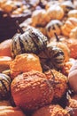 Pile of decorative mini pumpkins and gourds, on locale farmers market; autumn background